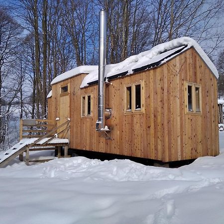 Celorocni Glamping V Pohodlnem Domecku Villa Výprachtice Eksteriør billede