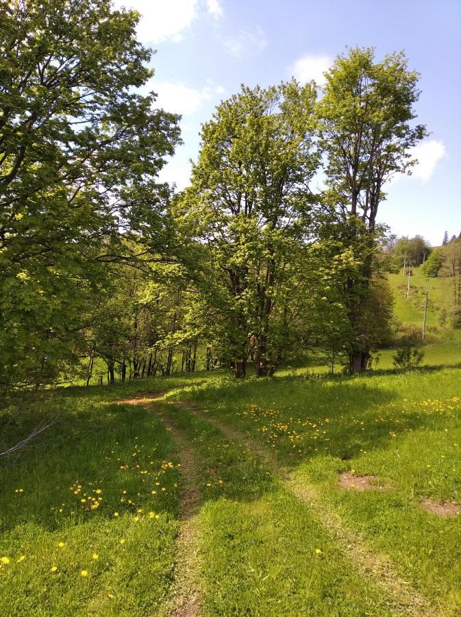 Celorocni Glamping V Pohodlnem Domecku Villa Výprachtice Eksteriør billede