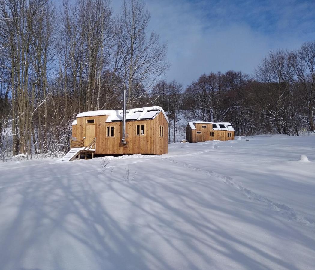 Celorocni Glamping V Pohodlnem Domecku Villa Výprachtice Eksteriør billede